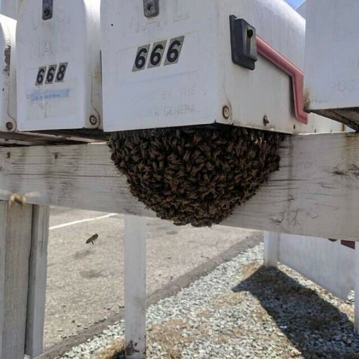 This Page Collects 'Cursed' Images, And Here Are 50 Of The Worst Ones