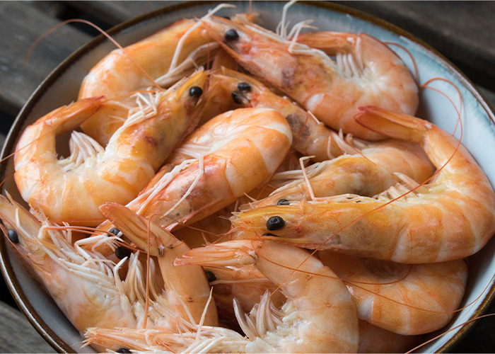 20 quejas 
