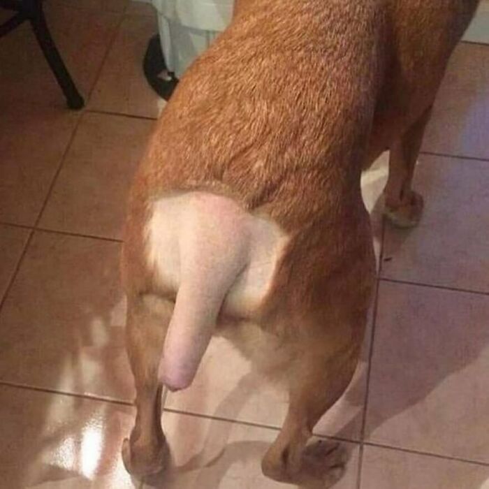 41 Cursed Images To Provide You Your Daily Dose Of Disturbing