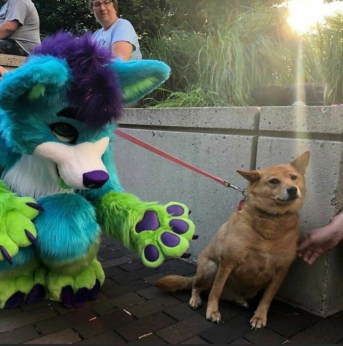 41 Cursed Images To Provide You Your Daily Dose Of Disturbing