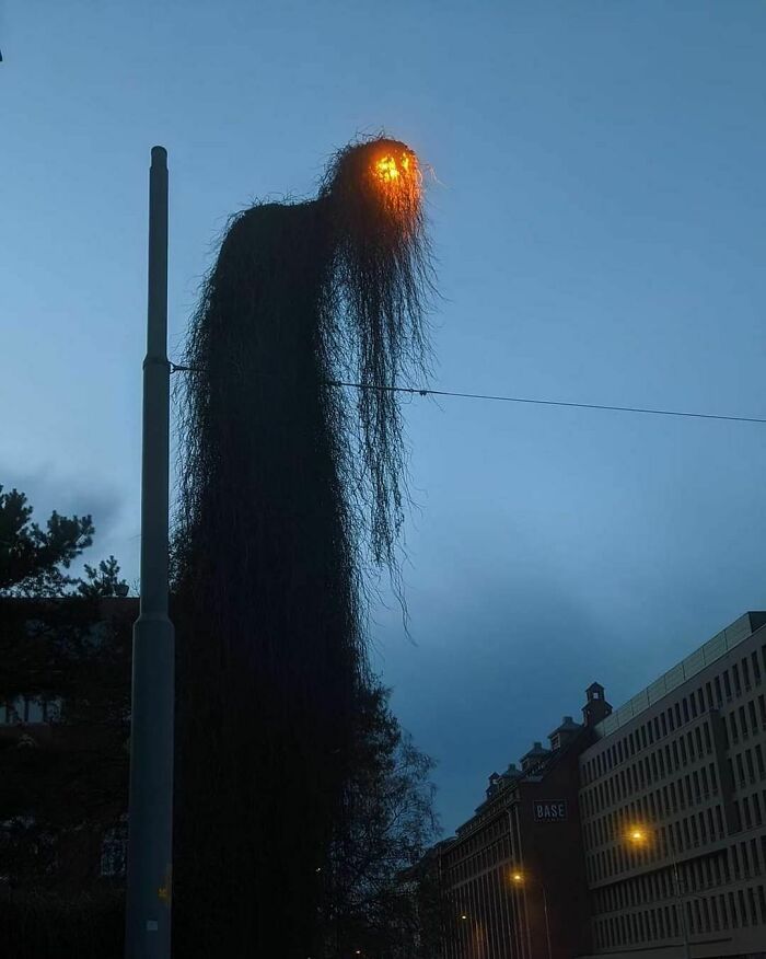 40 Images That Are So Cool And Unique, You Could Slap Them On The Cover Of Music Albums