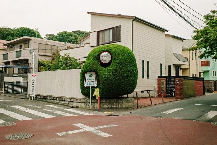 40 New Photos That Show What Daily Life In Japan Looks Like By Photographer Shin Noguchi