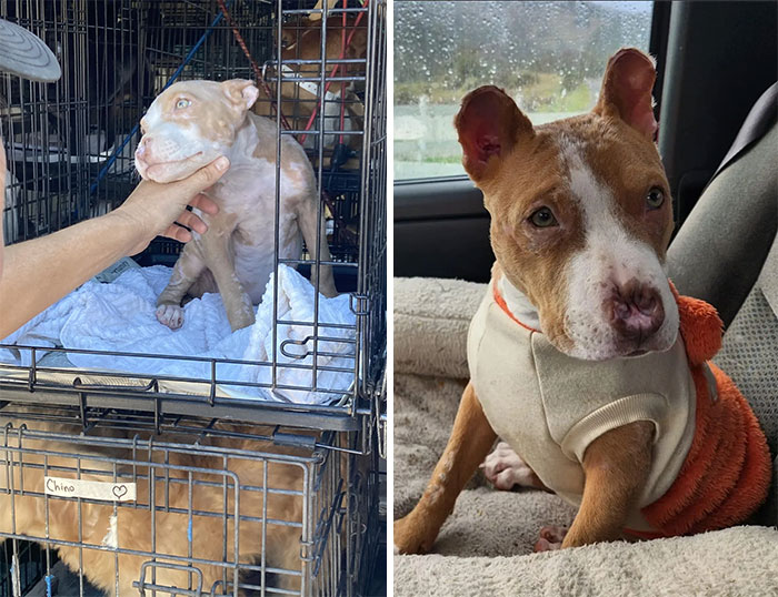 Milly, ¡una historia de recuperación realmente increíble!