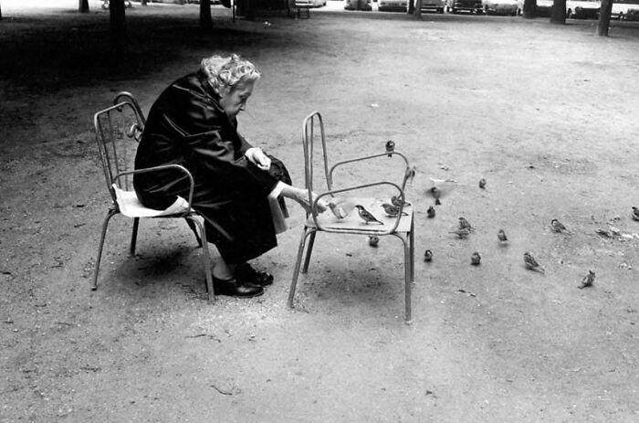 Instagram Account With Over 574 Thousand Followers Features Amusing Street Photos (30 New Pics)