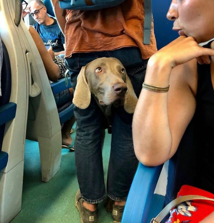 Instagram Account With Over 574 Thousand Followers Features Amusing Street Photos (30 New Pics)