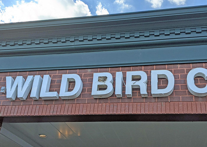 Un pájaro sentado en un nido en un cartel de aves silvestres