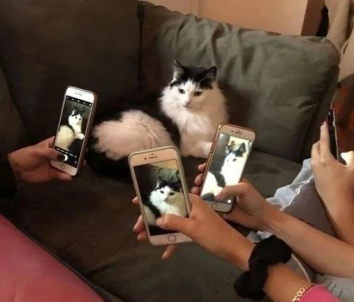 26 Random And Confusing Moments Of Humans Just Being Humans, As Shared On This Facebook Page (New Pics)