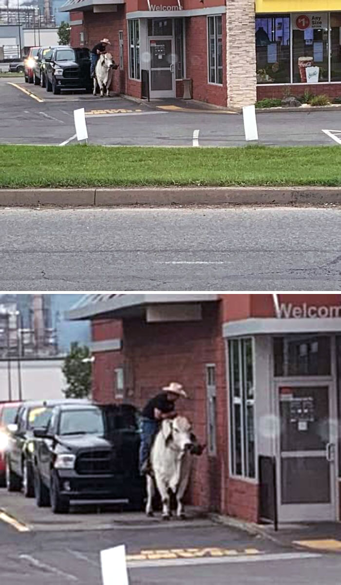 Esta persona monta una vaca en el autoservicio de McDonald's