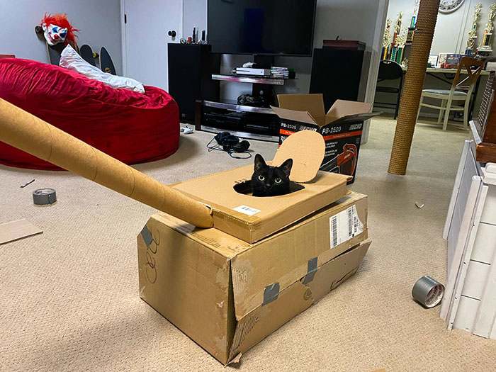 Mi padre me envió esta foto de un tanque que hizo para su gato
