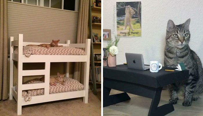 30 Muebles hechos especialmente a medida para gatos