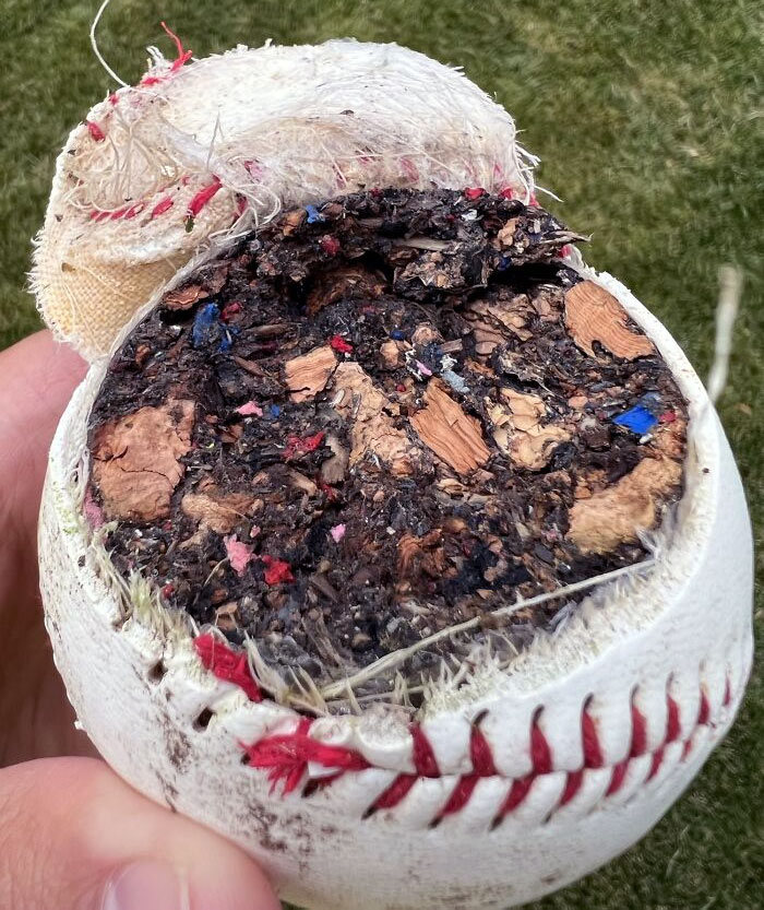 Accidentalmente corté una pelota de béisbol barata con mi cortacésped 