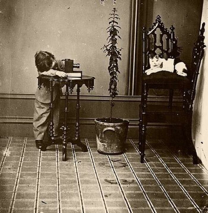 Un joven fotógrafo prometedor, década de 1880