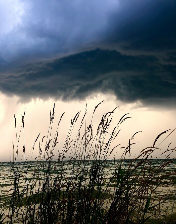 Sobrellevando la tormenta