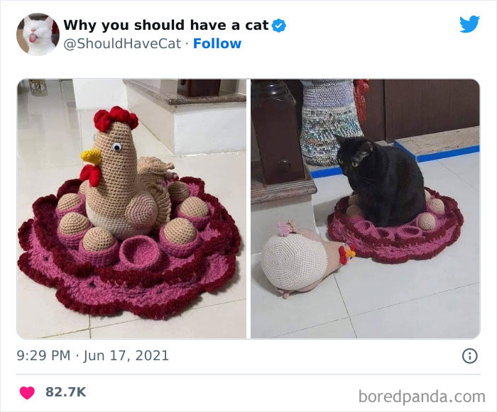 This Twitter Account Shares "Reasons" Why You Should Have A Cat, And Here Are 50 Of The Top Ones