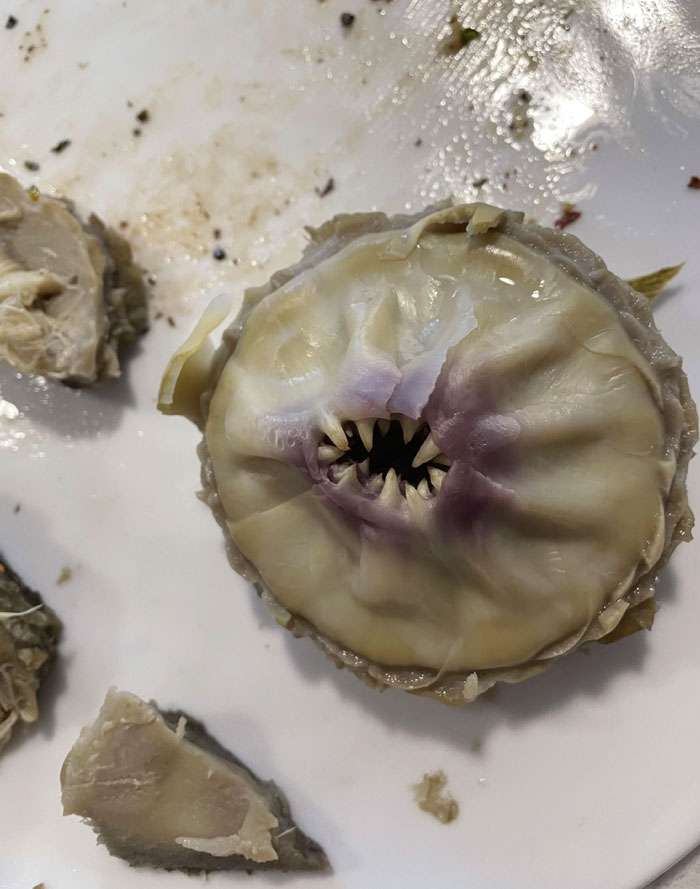 Una alcachofa que estaba comiendo tenía dientes propios