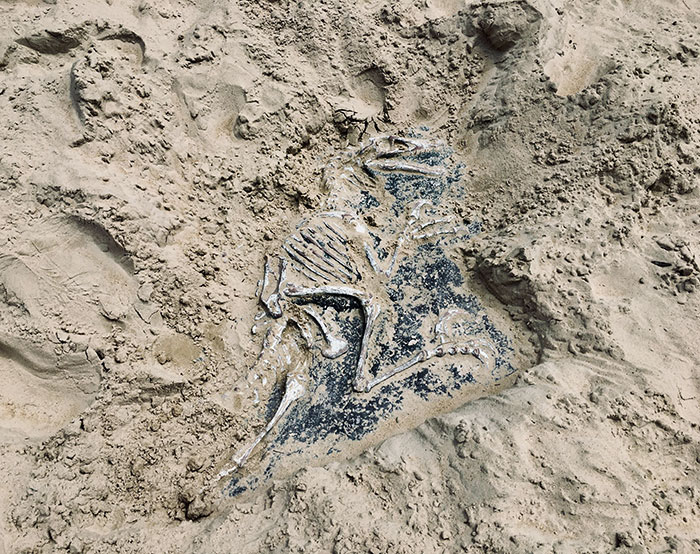 Este parque infantil tiene un velociraptor enterrado en el arenero para que los niños lo desentierren