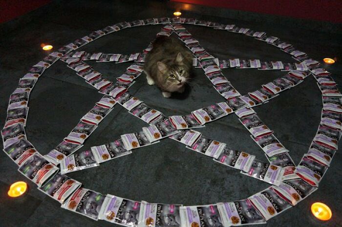 This Page Collects 'Cursed' Images, And Here Are 50 Of The Worst Ones