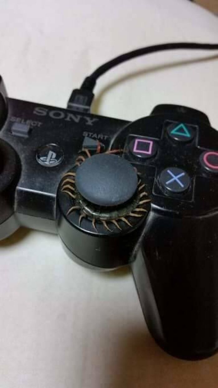 This Page Collects 'Cursed' Images, And Here Are 50 Of The Worst Ones