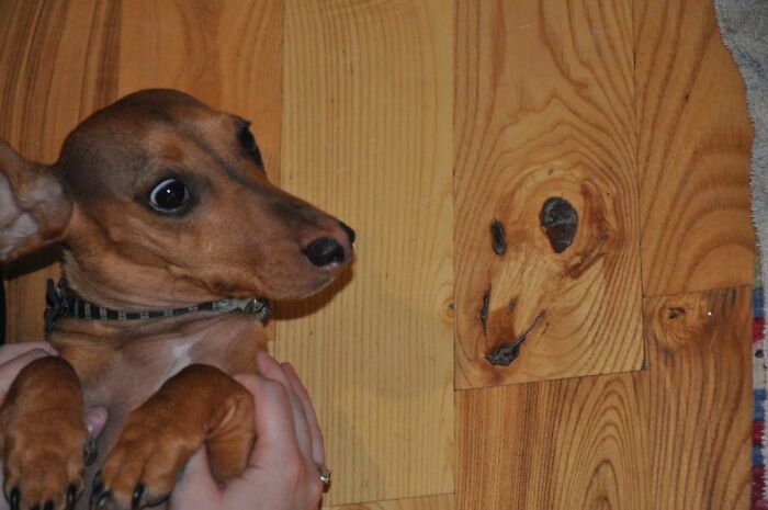 This Page Collects 'Cursed' Images, And Here Are 50 Of The Worst Ones