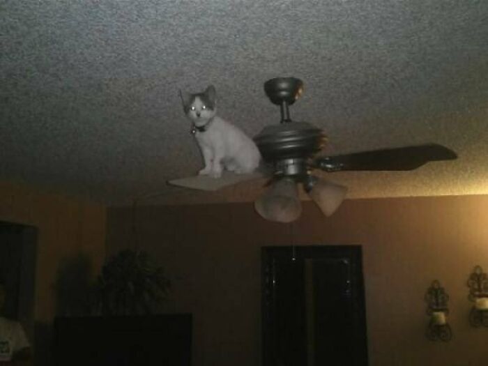 This Page Collects 'Cursed' Images, And Here Are 50 Of The Worst Ones