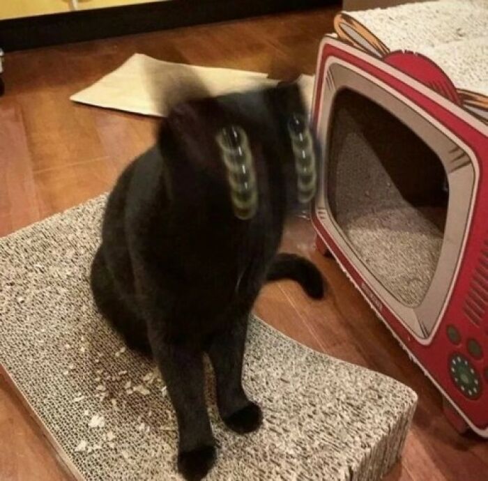 This Instagram Account Collects The Most “Cursed Images” On The Internet, And Here Are 45 Of The Best Of The Worst Ones (New Pics)