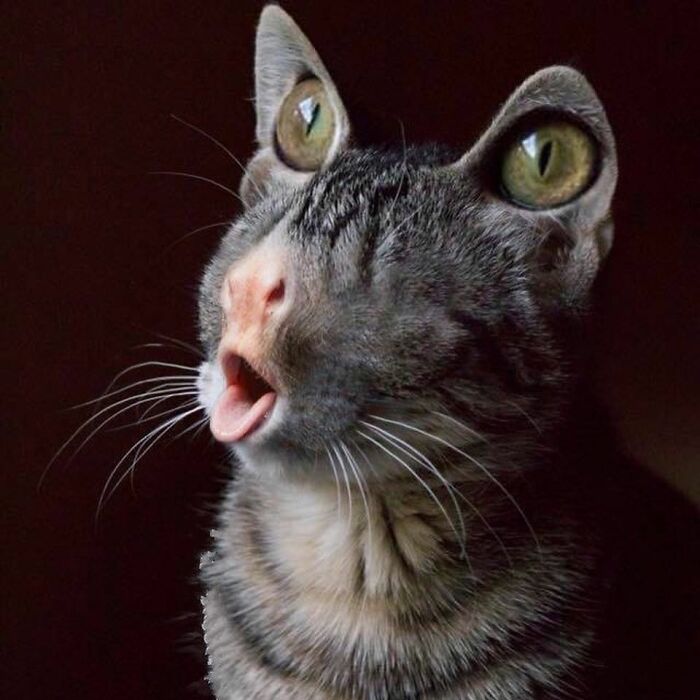 50 Unsettling Posts From This Instagram Account Dedicated To Sharing Cursed And Weird Pics