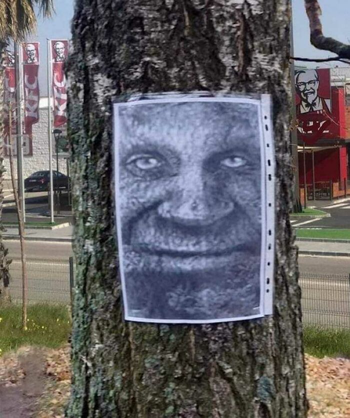 This Instagram Account Collects The Most “Cursed Images” On The Internet, And Here Are 45 Of The Best Of The Worst Ones (New Pics)