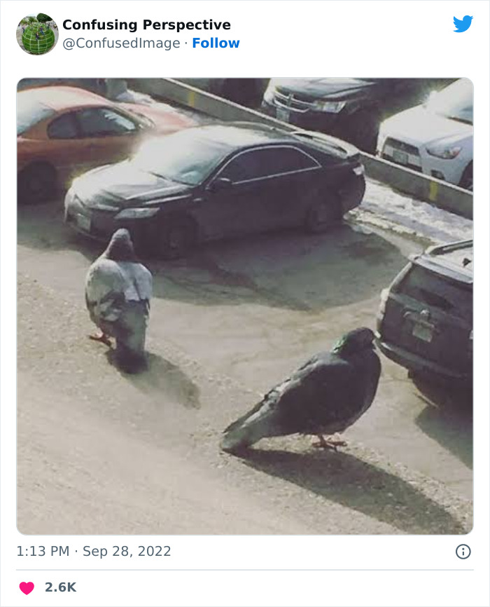 50 Seriously Confusing Pics That Might Require A Double Take, As Shared On This Twitter Page