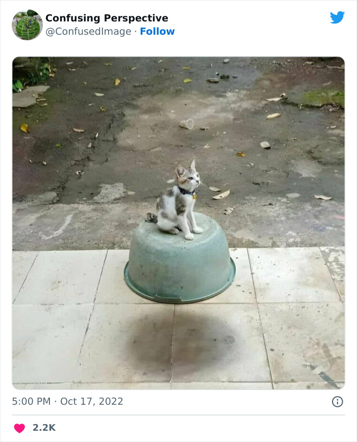 50 Seriously Confusing Pics That Might Require A Double Take, As Shared On This Twitter Page