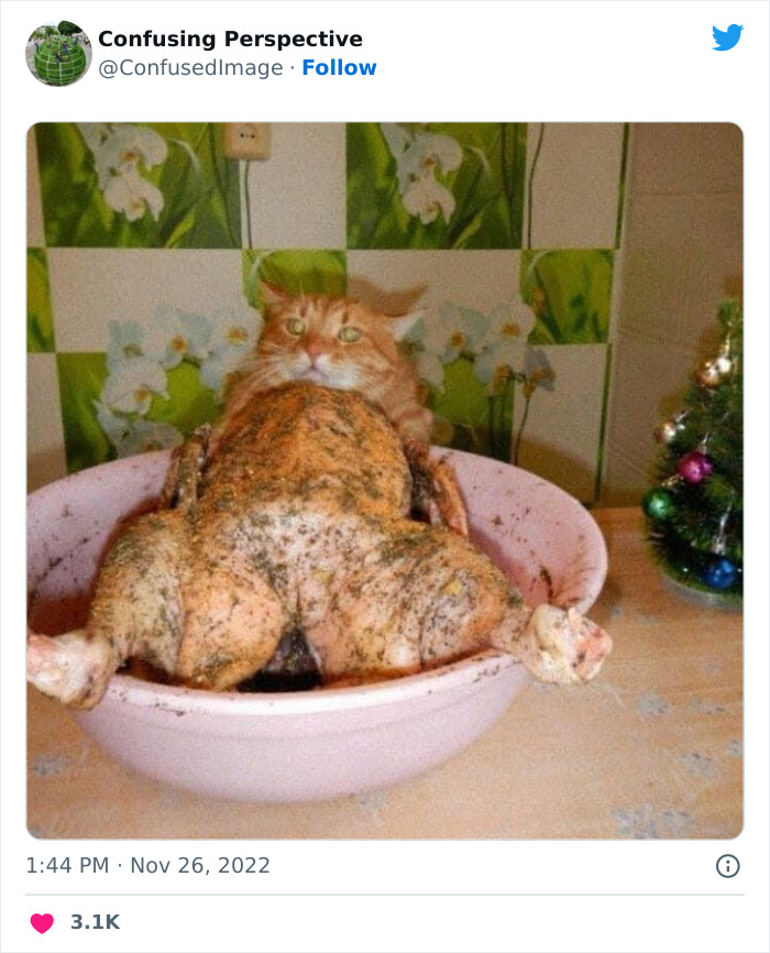 50 Seriously Confusing Pics That Might Require A Double Take, As Shared On This Twitter Page