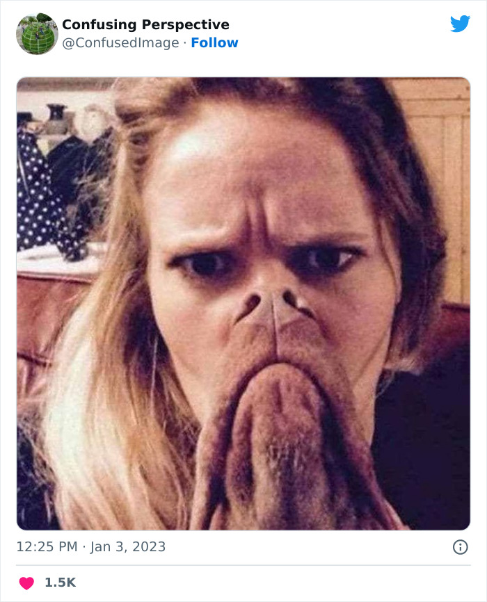 50 Seriously Confusing Pics That Might Require A Double Take, As Shared On This Twitter Page