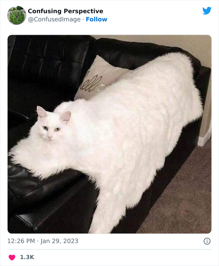 50 Seriously Confusing Pics That Might Require A Double Take, As Shared On This Twitter Page