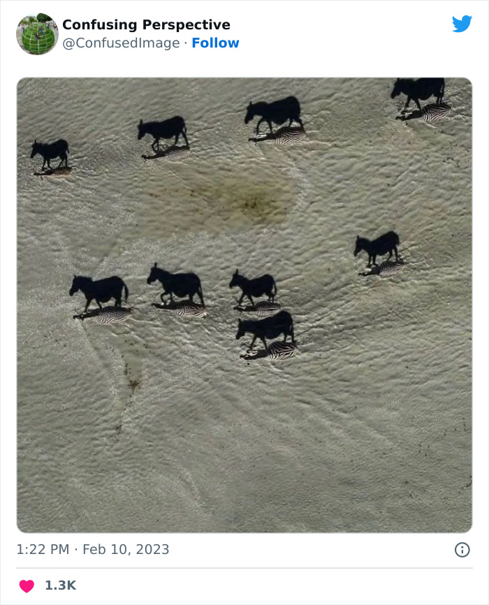 50 Seriously Confusing Pics That Might Require A Double Take, As Shared On This Twitter Page