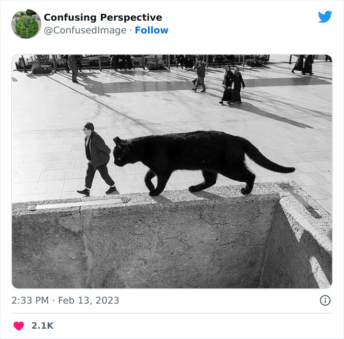 50 Seriously Confusing Pics That Might Require A Double Take, As Shared On This Twitter Page