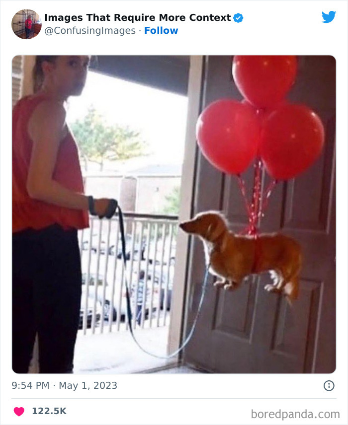 This Twitter Account Collects Images That Raise More Questions Than They Provide Answers, And Here Are 40 Of The Funniest Ones (New Pics)