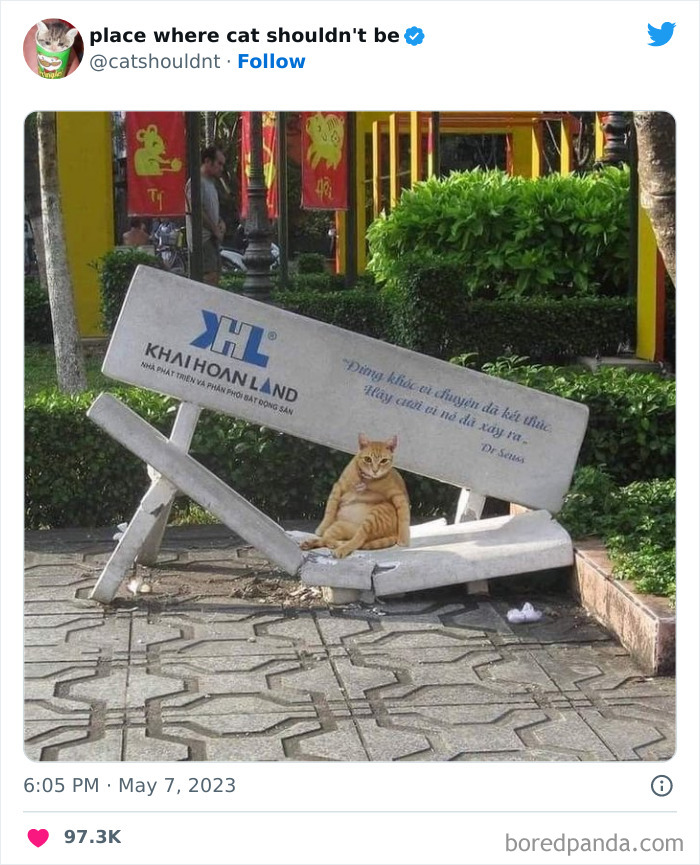 50 Hilarious Photos Of Cats Getting Into Places Where They Probably Shouldn’t Be (New Pics)