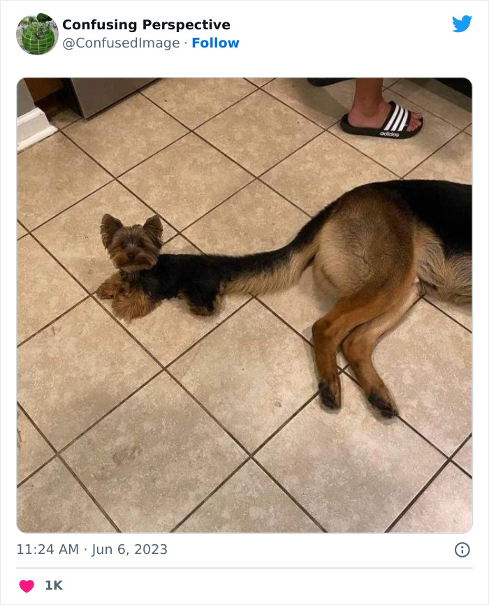 50 Seriously Confusing Pics That Might Require A Double Take, As Shared On This Twitter Page