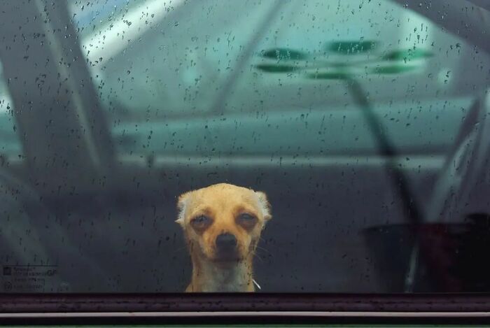 35 Selected Best Images Of Animals, As Shared By This Instagram Page