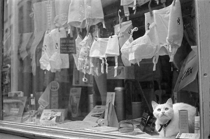 35 Selected Best Images Of Animals, As Shared By This Instagram Page