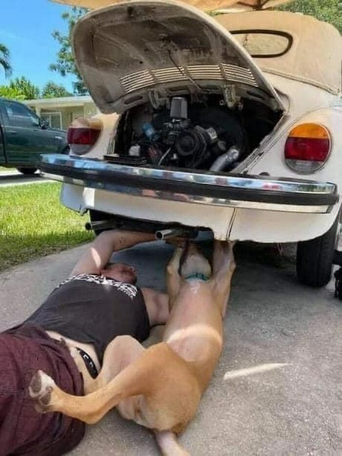 This Instagram Account Collects The Most “Cursed Images” On The Internet, And Here Are 45 Of The Best Of The Worst Ones (New Pics)