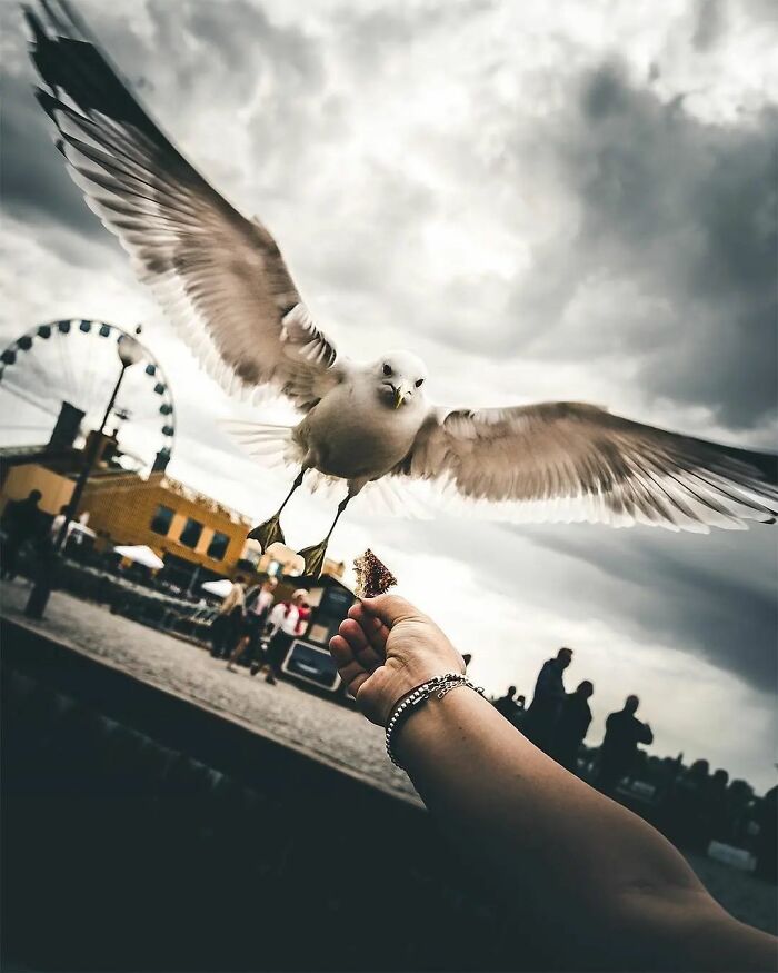 35 Selected Best Images Of Animals, As Shared By This Instagram Page