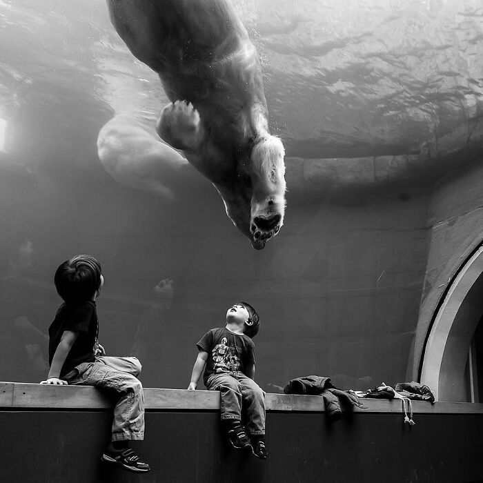 35 Selected Best Images Of Animals, As Shared By This Instagram Page