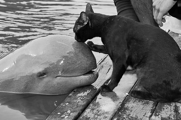35 Selected Best Images Of Animals, As Shared By This Instagram Page