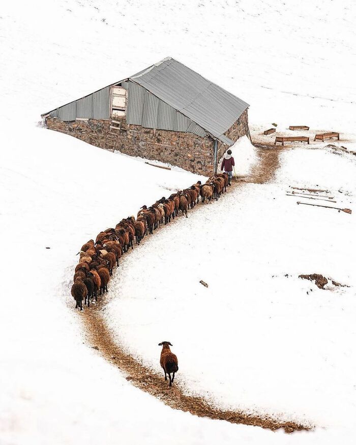35 Selected Best Images Of Animals, As Shared By This Instagram Page