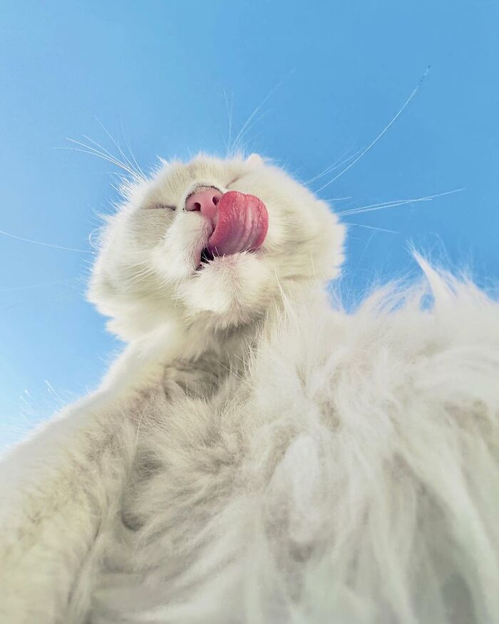35 Selected Best Images Of Animals, As Shared By This Instagram Page