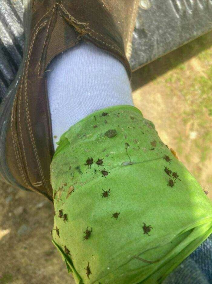 Y esos son sólo los que la cinta atrapó