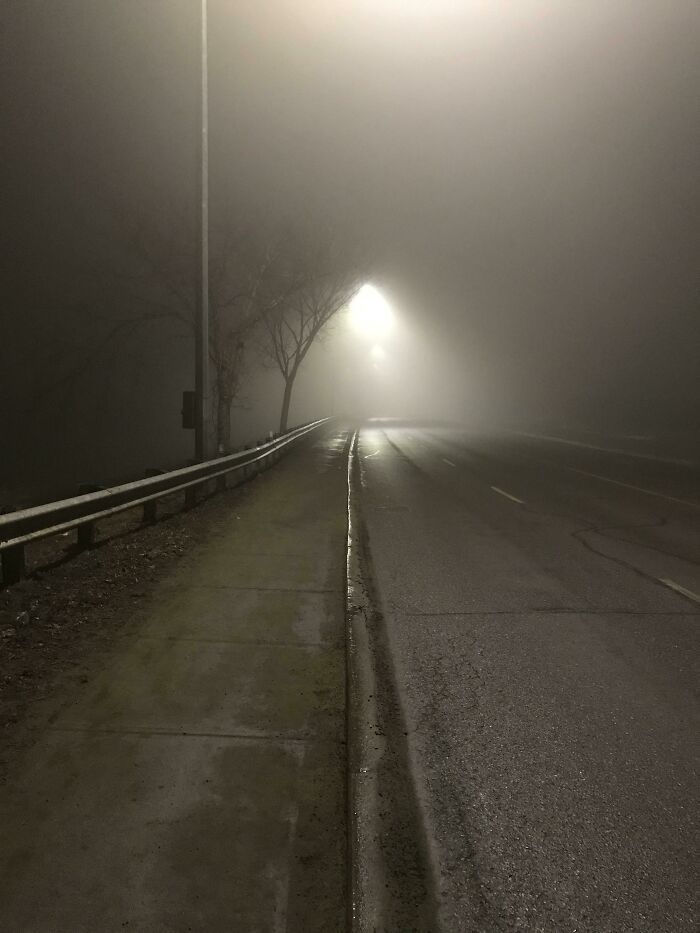 Mi camino a casa