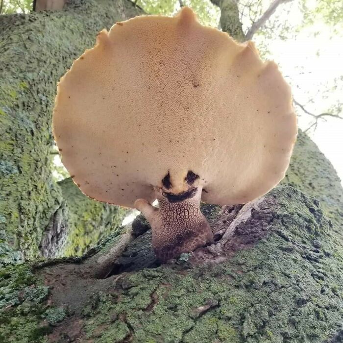 Saludos