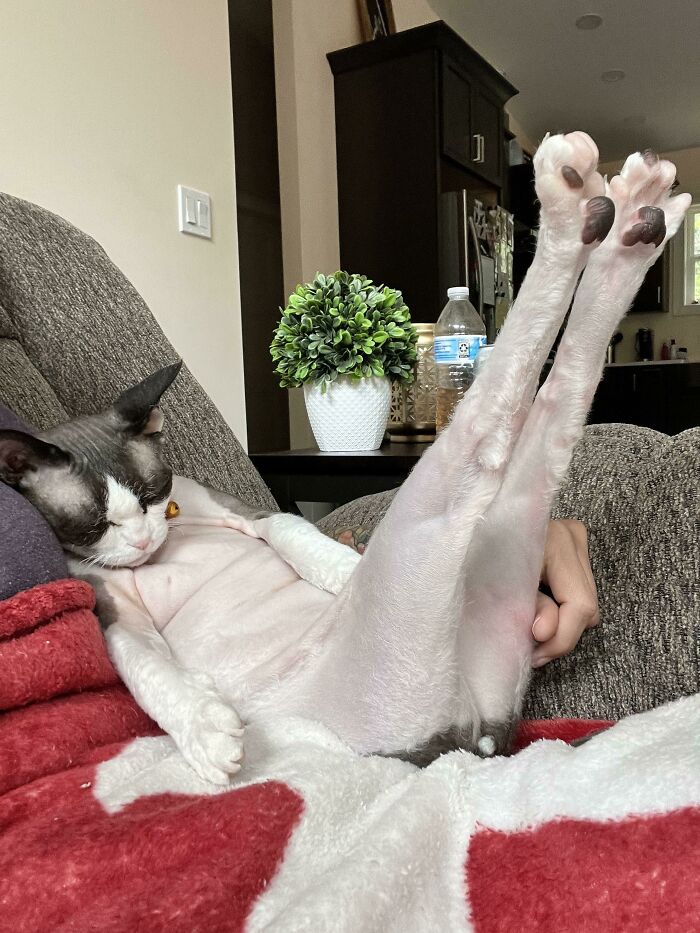  Charlie mirando el programa Dateline
