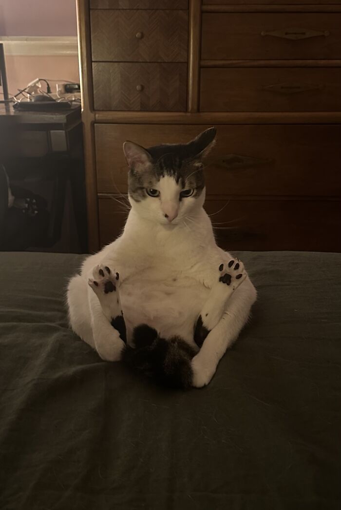  Le gusta sentarse así y morderse los dedos de las patas 
